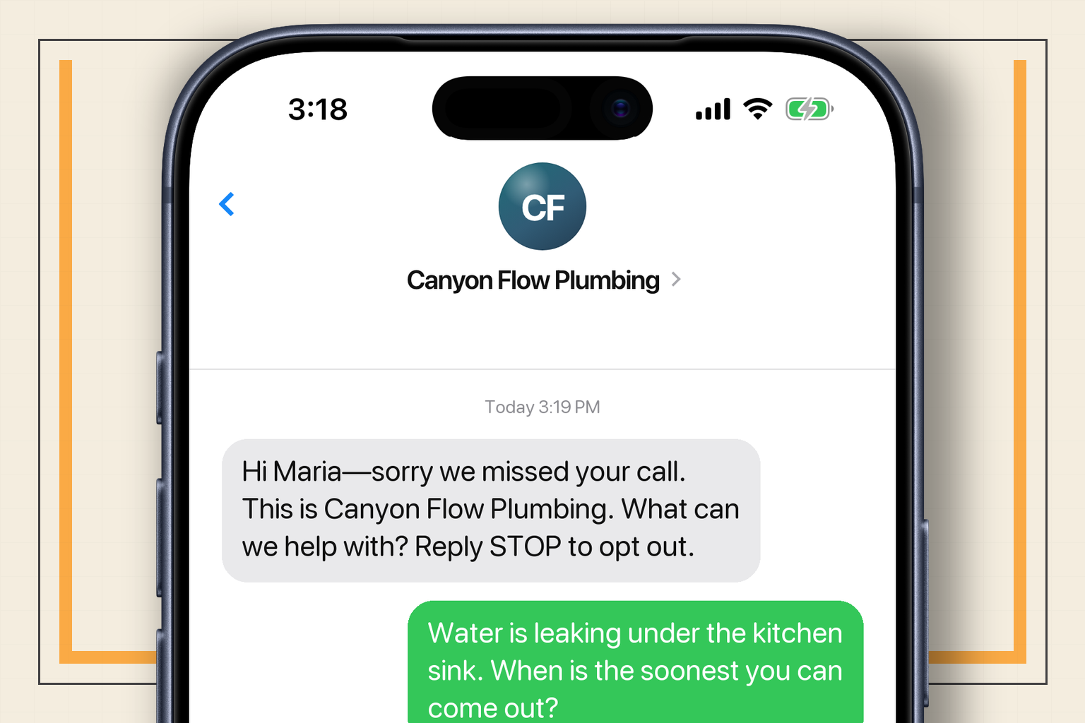 Realistic Apple Messages conversation with the customer's kitchen-sink leak details